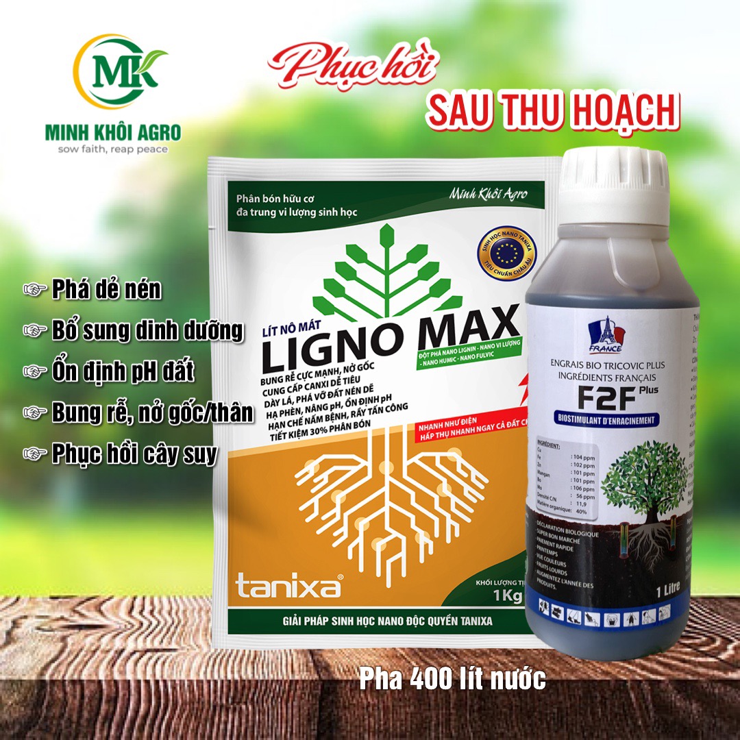 Combo dinh dưỡng Phục hồi sau thu hoạch